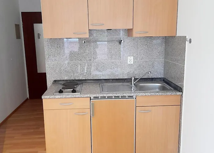 شقة Laule 2 Self Check In باساو